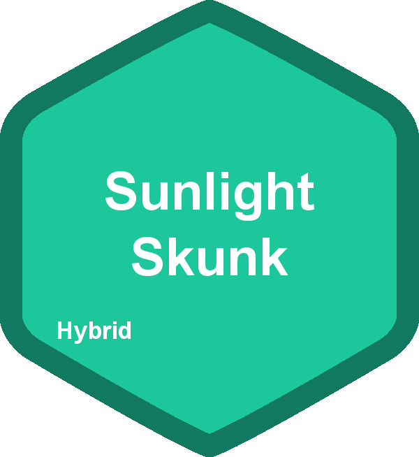 Sunlight Skunk
