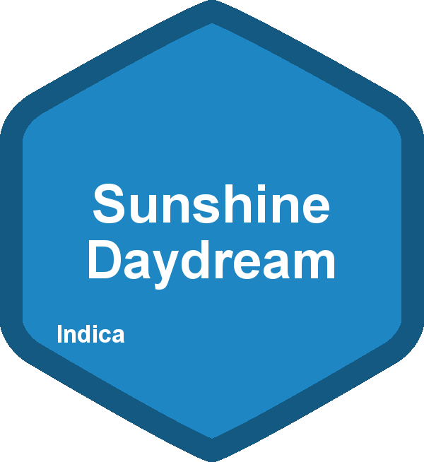 Sunshine Daydream