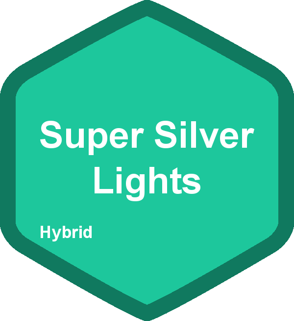 Super Silver Lights