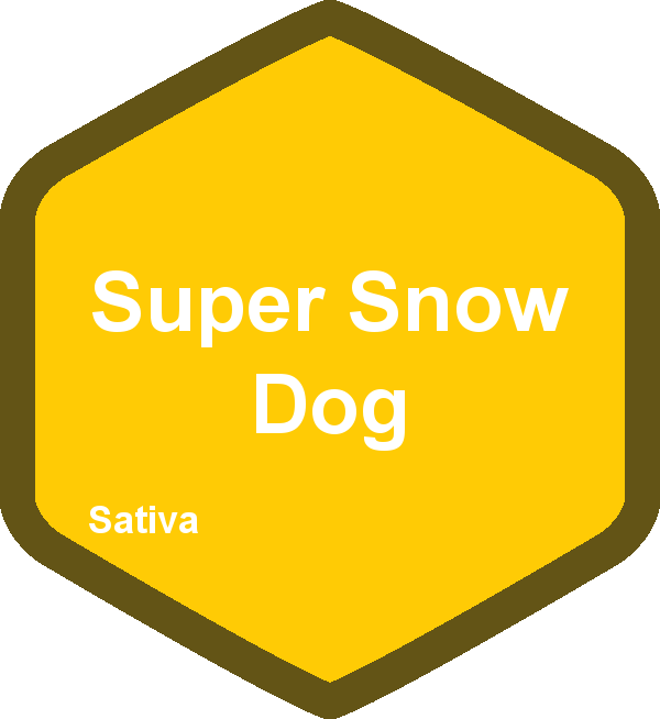 Super Snow Dog