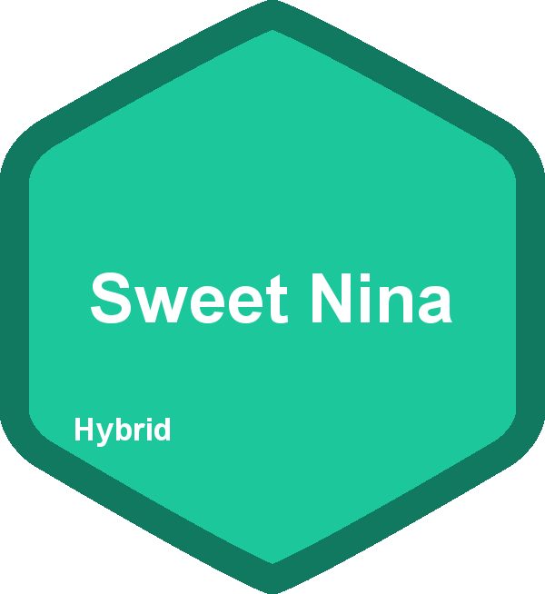 Sweet Nina