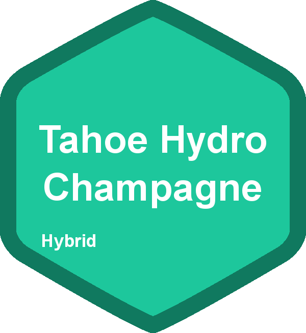Tahoe Hydro Champagne