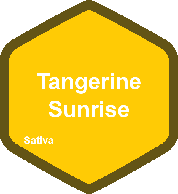 Tangerine Sunrise