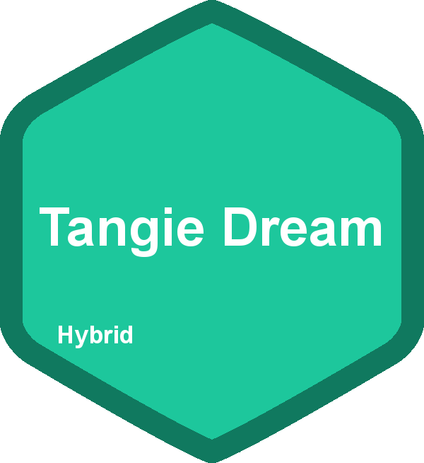 Tangie Dream