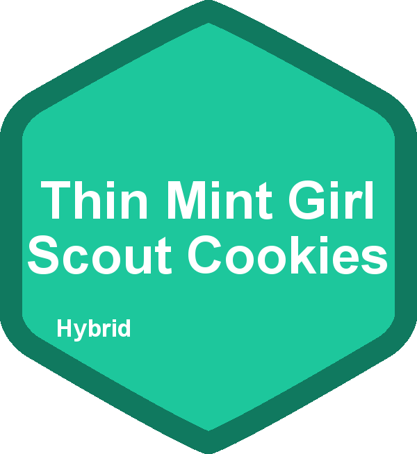 Thin Mint Girl Scout Cookies