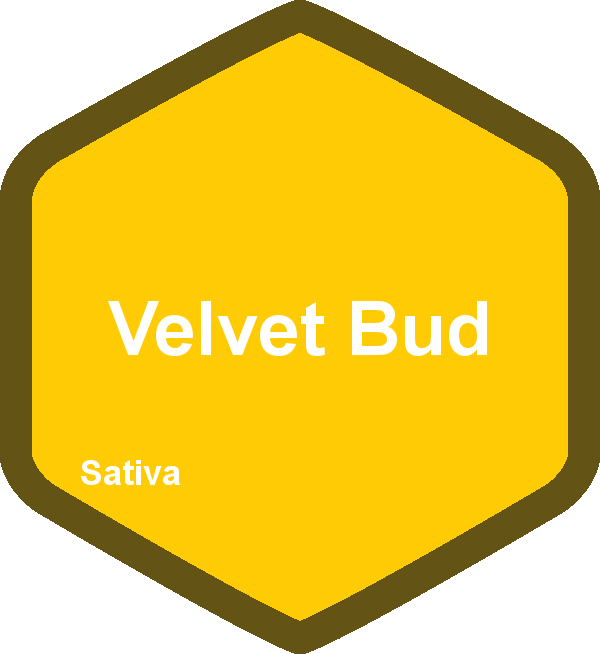 Velvet Bud