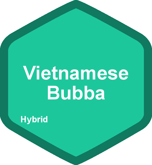 Vietnamese Bubba