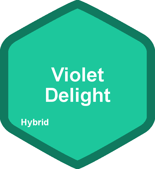 Violet Delight