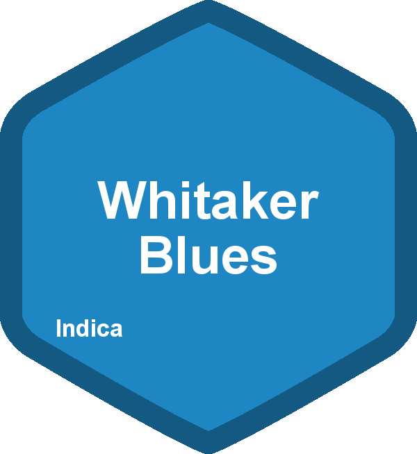 Whitaker Blues