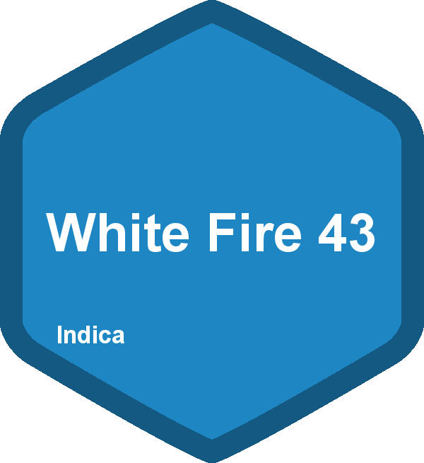 White Fire 43