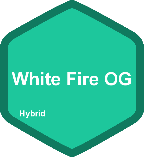White Fire OG