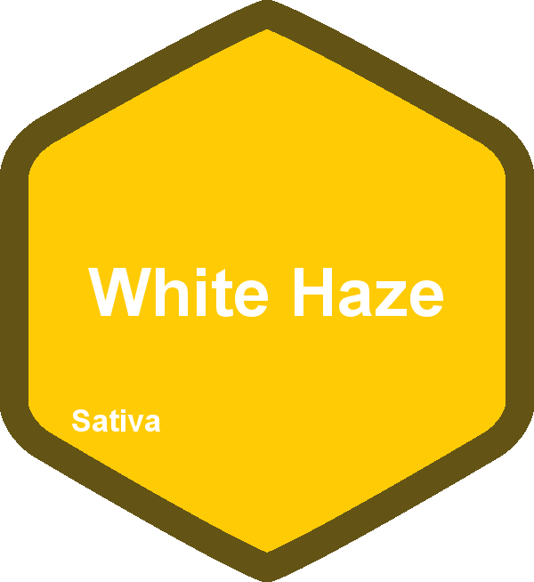 White Haze