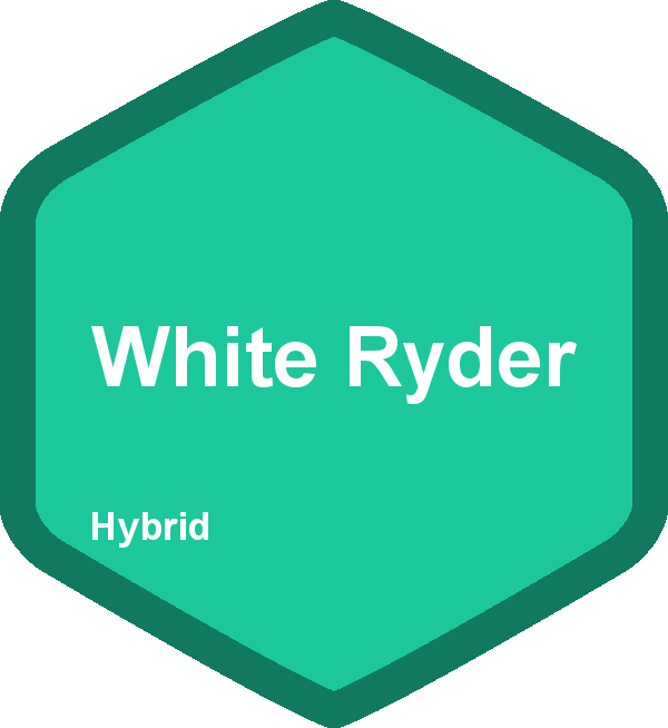 White Ryder