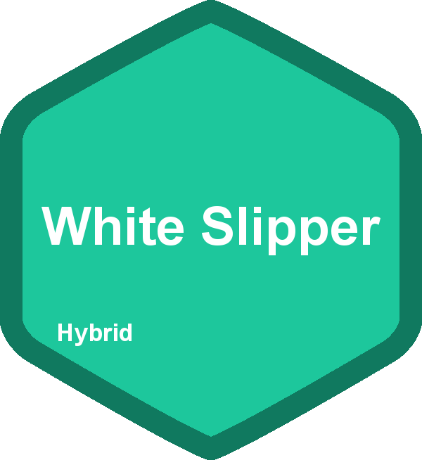 White Slipper