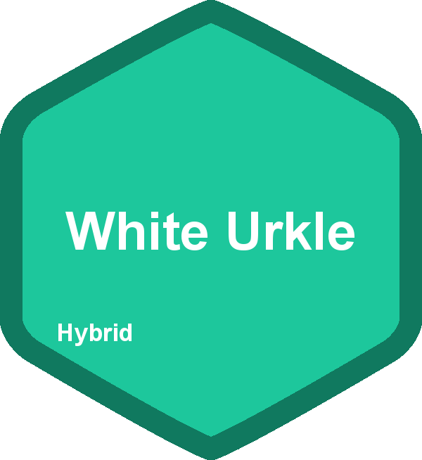 White Urkle