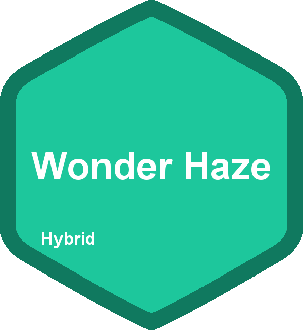 Wonder Haze