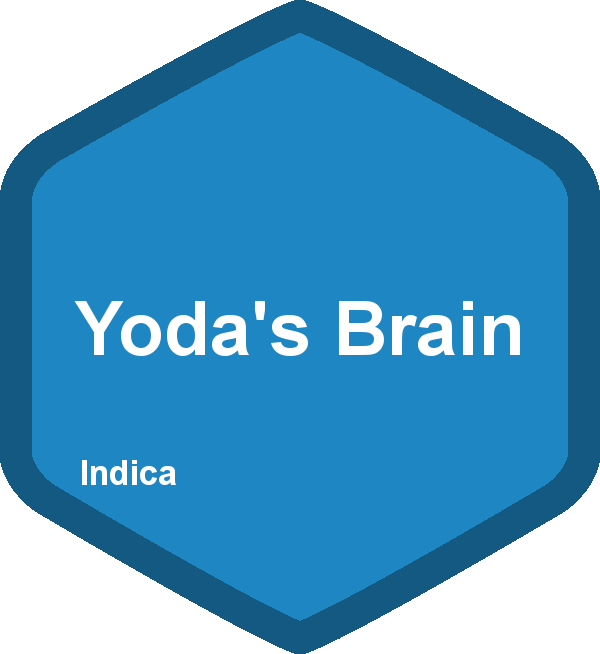 Yoda's Brain
