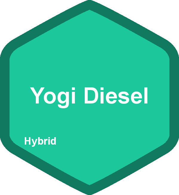 Yogi Diesel