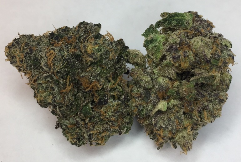Sherbert -  - Hybrid