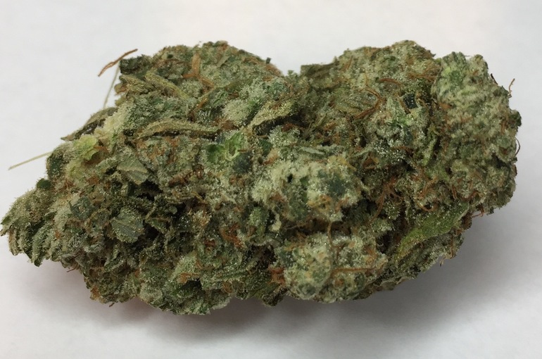 White Lotus -  - Hybrid