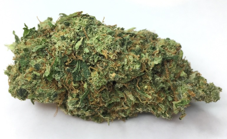 ATF -  - Sativa