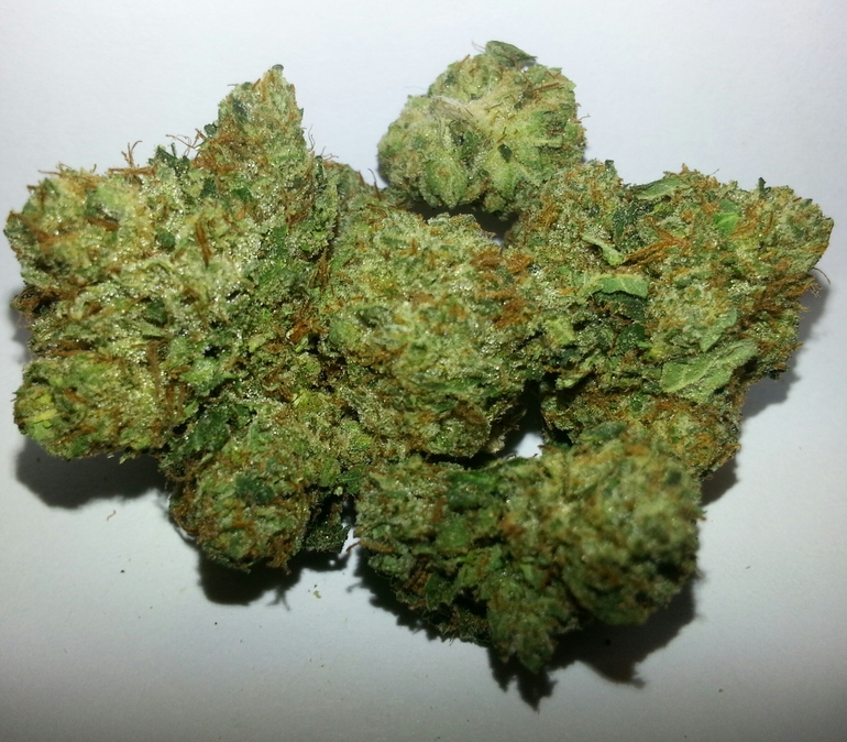 Holy Grail O.G. -  - Indica