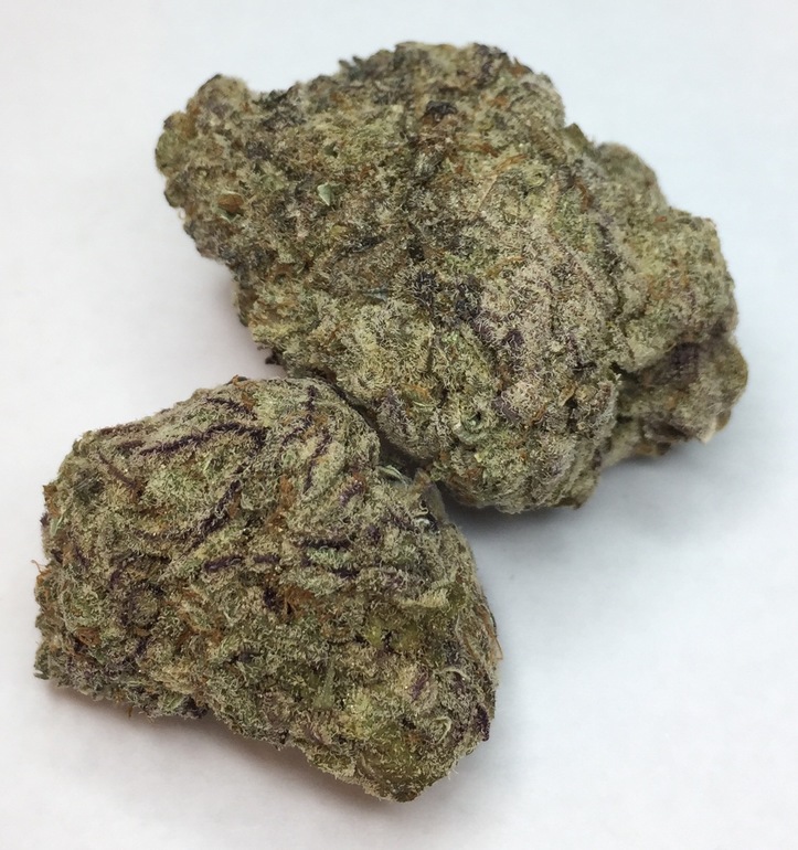 Black Rhino -  - Indica