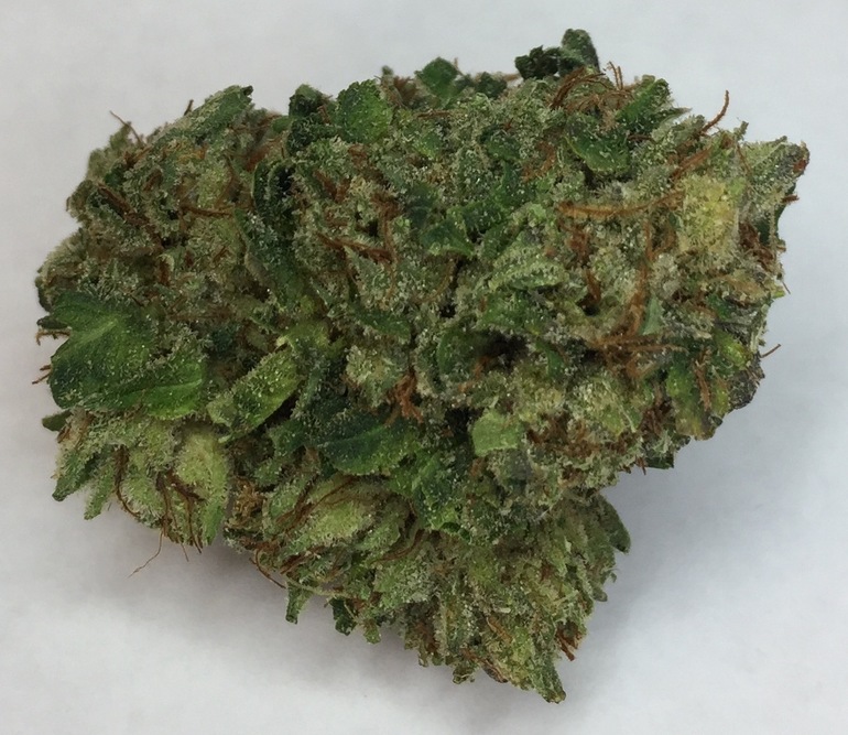 Ante'up O.G. -  - Indica