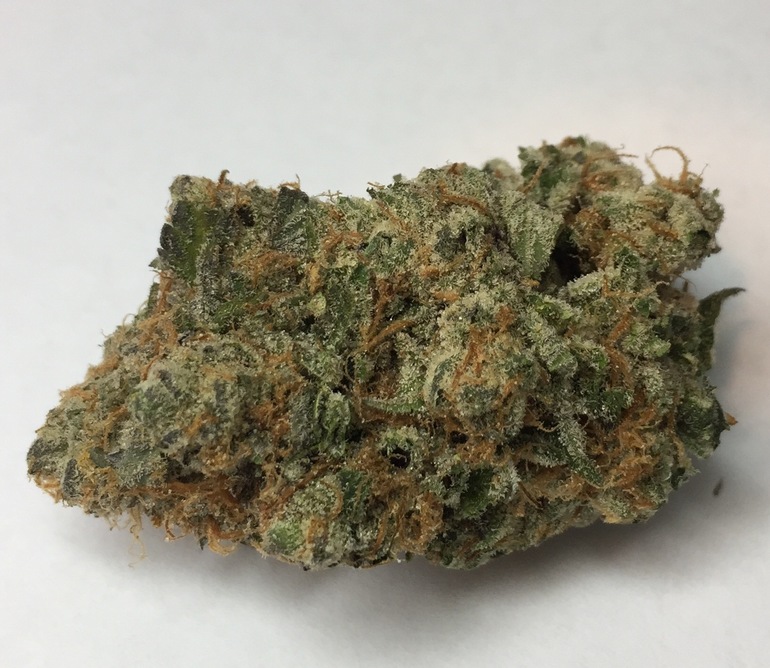 Strawberry Headband -  - Hybrid