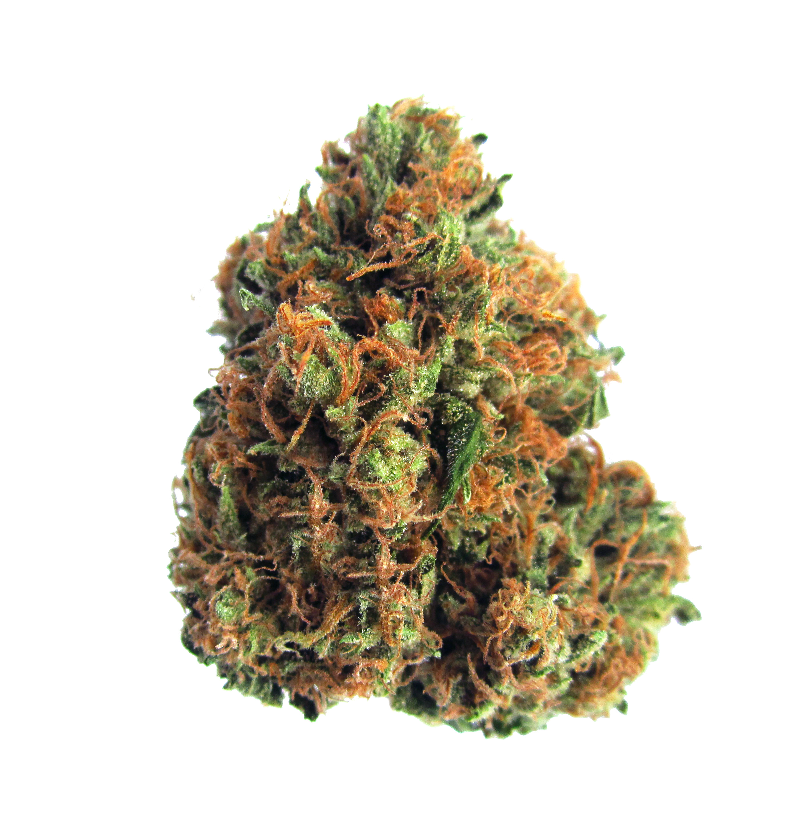 Buy King Louis XIII Terpene Strain Profile