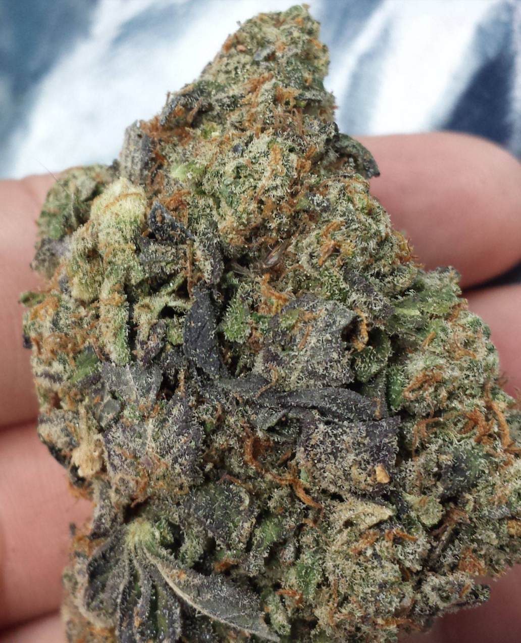 Purple Diesel