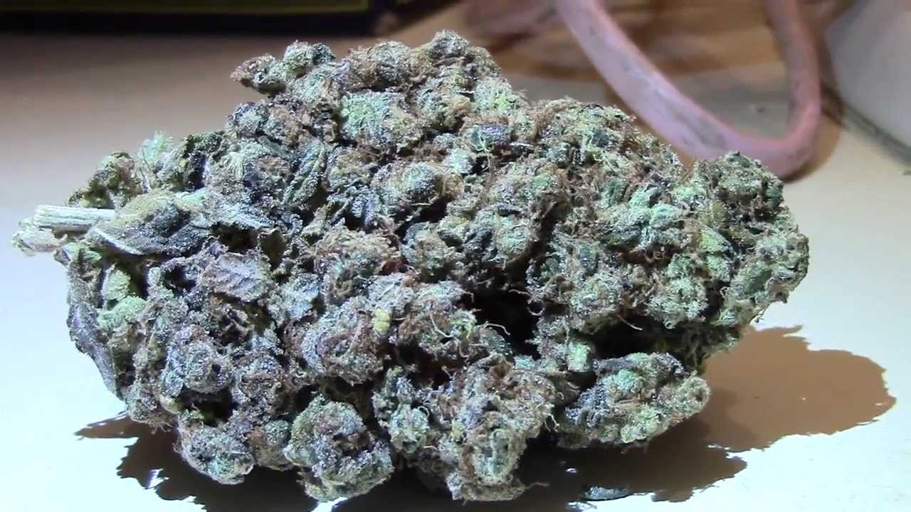 Purple Diesel