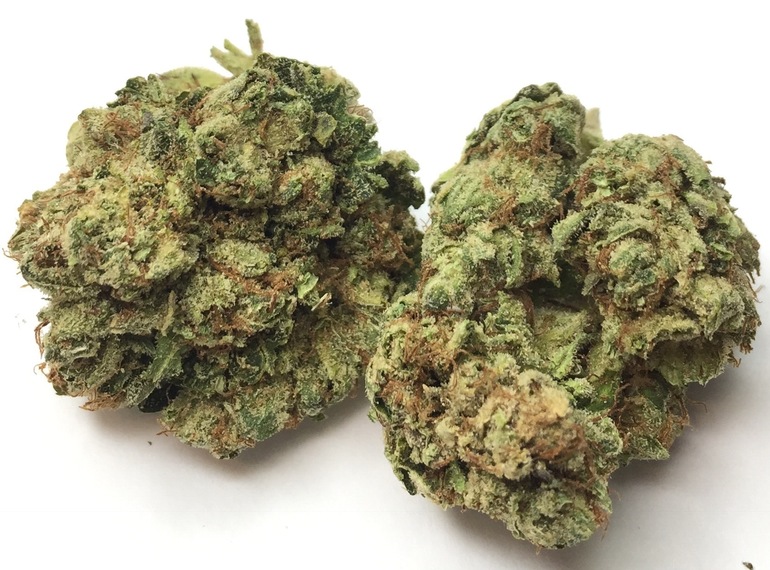 XXX O.G. -  - Indica