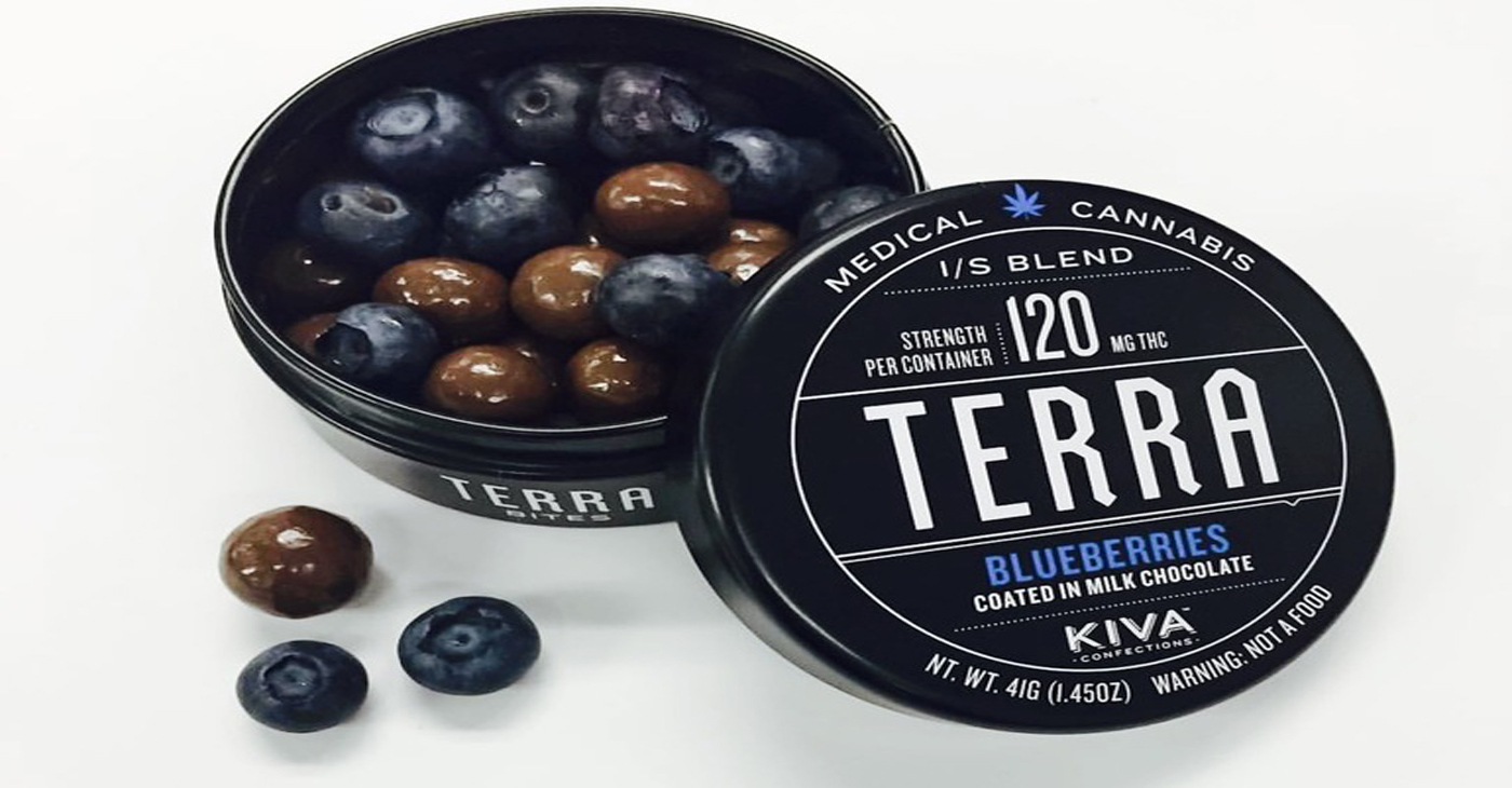 Terra Chocolate Covered Blueberries